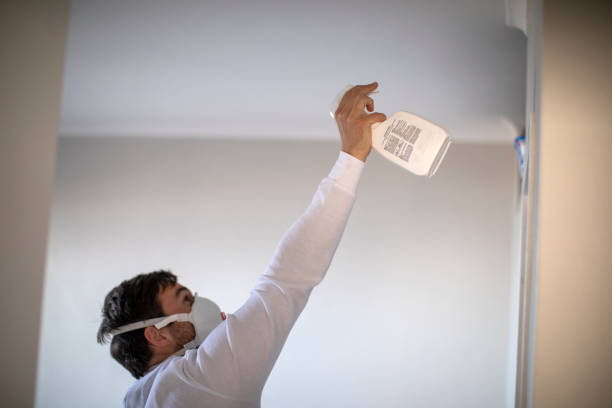 Best Local Mold Removal Service  in Todd Creek, CO