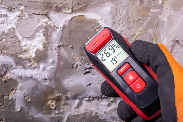 Best Crawl Space Mold Removal  in Todd Creek, CO